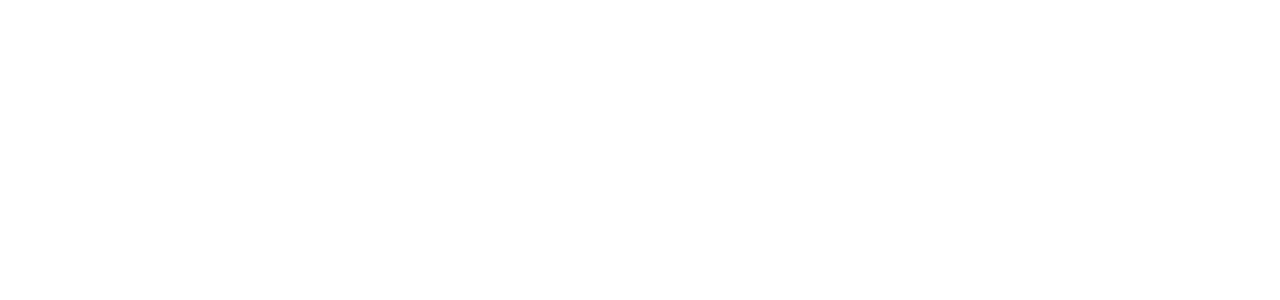 Tiroler Tageszeitung Logo